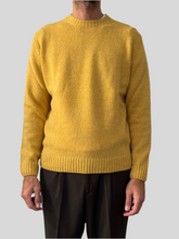 Carica l&#39;immagine nel visualizzatore di Gallery, MAGLIA SHETLAND FIBRETEX
